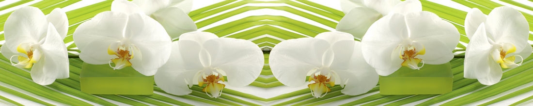 skinali 2807